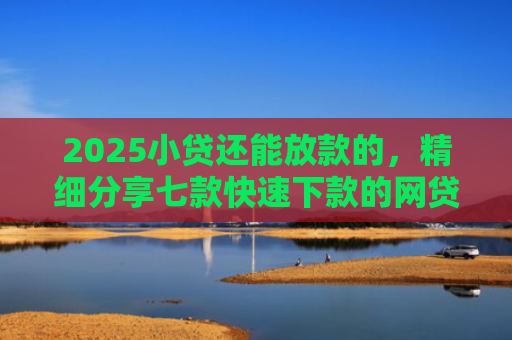 2025小贷还能放款的，精细分享七款快速下款的网贷小口子
