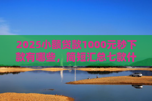 2025小额贷款1000元秒下款有哪些，简短汇总七款什么网贷秒下款新口子
