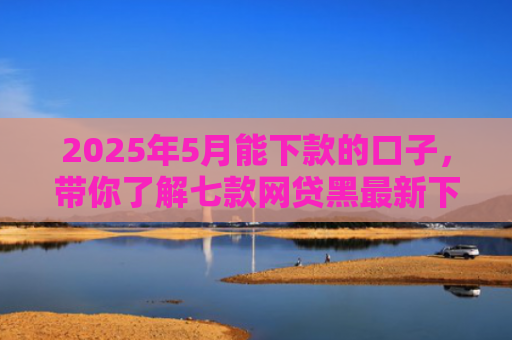 2025年5月能下款的口子，带你了解七款网贷黑最新下款口子
