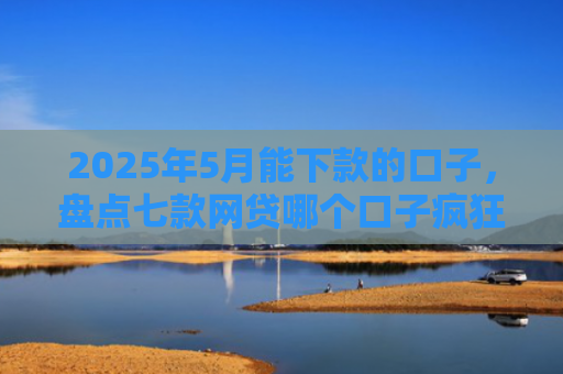 2025年5月能下款的口子，盘点七款网贷哪个口子疯狂下款