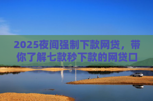 2025夜间强制下款网贷，带你了解七款秒下款的网贷口子大全