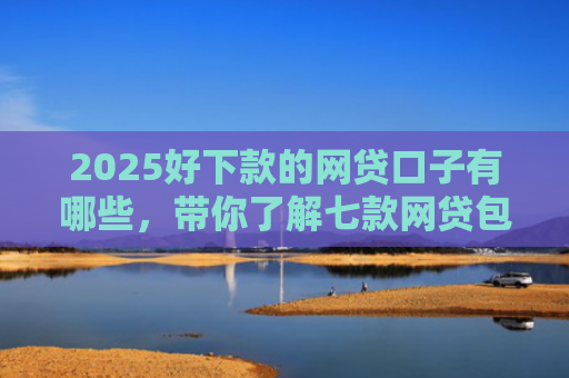 2025好下款的网贷口子有哪些，带你了解七款网贷包下款的口子
