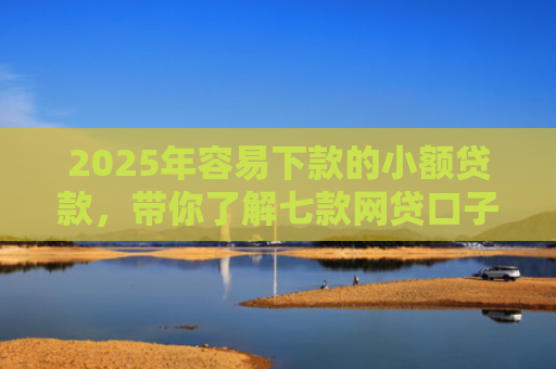 2025年容易下款的小额贷款，带你了解七款网贷口子那个好下款