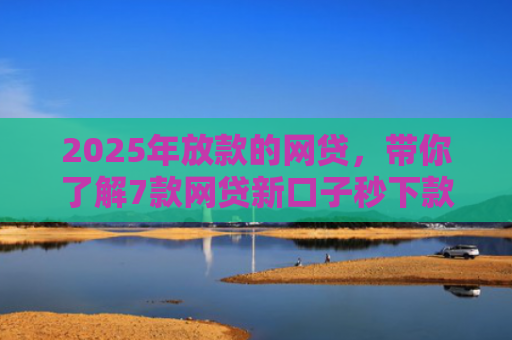 2025年放款的网贷，带你了解7款网贷新口子秒下款