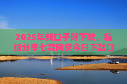 2025年新口子好下款，精细分享七款网贷今日下款口子