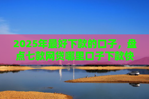 2025年最好下款的口子，盘点七款网贷哪里口子下款快
