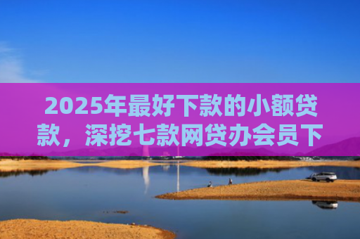2025年最好下款的小额贷款，深挖七款网贷办会员下款口子