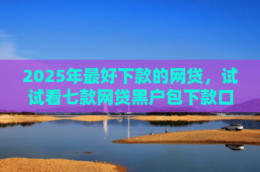 2025年最好下款的网贷，试试看七款网贷黑户包下款口子