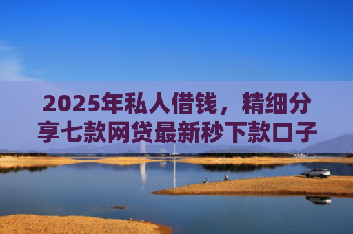 2025年私人借钱，精细分享七款网贷最新秒下款口子