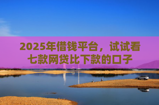 2025年借钱平台，试试看七款网贷比下款的口子