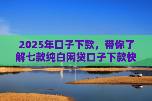2025年口子下款，带你了解七款纯白网贷口子下款快