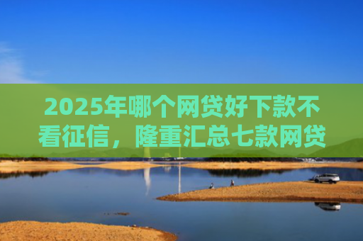 2025年哪个网贷好下款不看征信，隆重汇总七款网贷夜间下款的口子