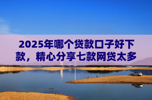 2025年哪个贷款口子好下款，精心分享七款网贷太多易下款口子