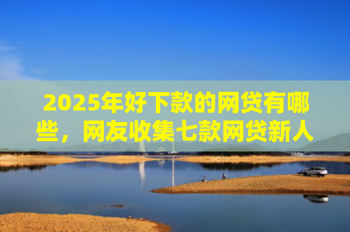 2025年好下款的网贷有哪些，网友收集七款网贷新人下款口子