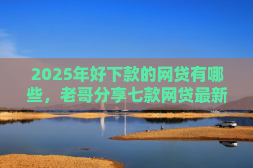 2025年好下款的网贷有哪些，老哥分享七款网贷最新下款口子群