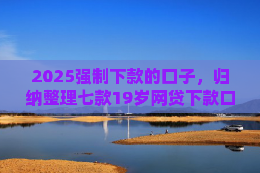 2025强制下款的口子，归纳整理七款19岁网贷下款口子