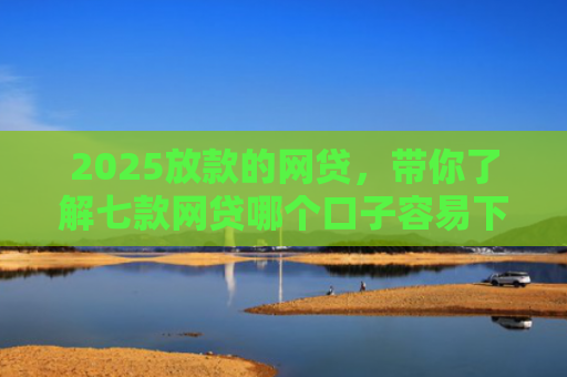 2025放款的网贷，带你了解七款网贷哪个口子容易下款