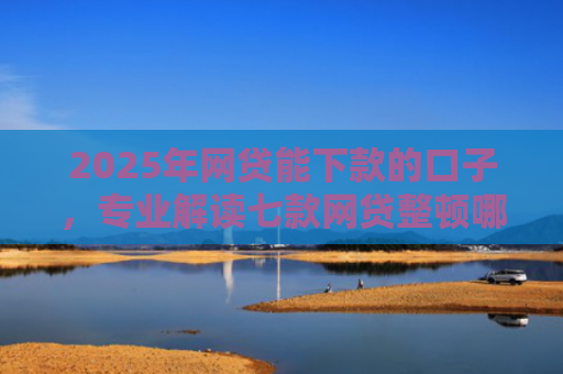 2025年网贷能下款的口子，专业解读七款网贷整顿哪些口子下款