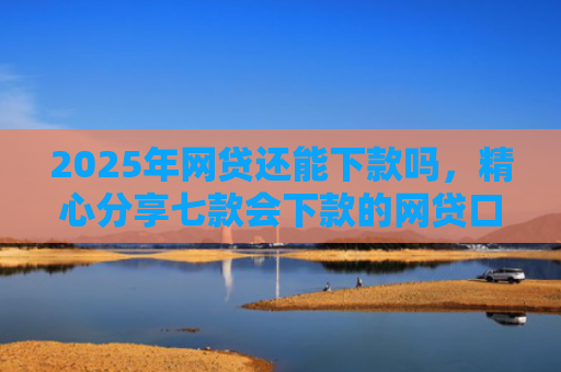 2025年网贷还能下款吗，精心分享七款会下款的网贷口子