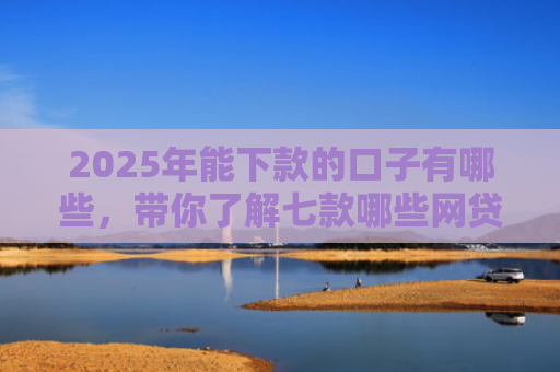 2025年能下款的口子有哪些，带你了解七款哪些网贷口子必下款