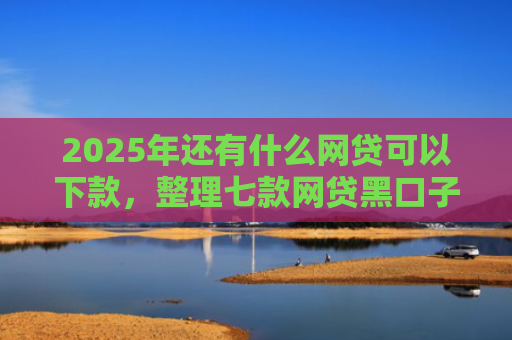2025年还有什么网贷可以下款，整理七款网贷黑口子必下款