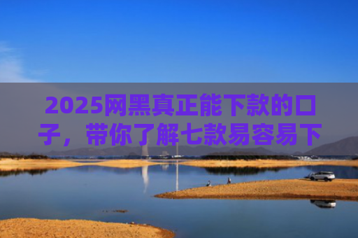 2025网黑真正能下款的口子，带你了解七款易容易下款的网贷口子