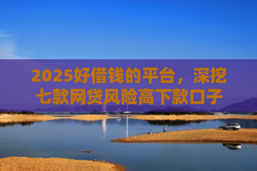 2025好借钱的平台，深挖七款网贷风险高下款口子