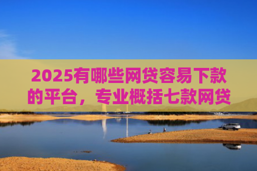 2025有哪些网贷容易下款的平台，专业概括七款网贷买会员必下款口子