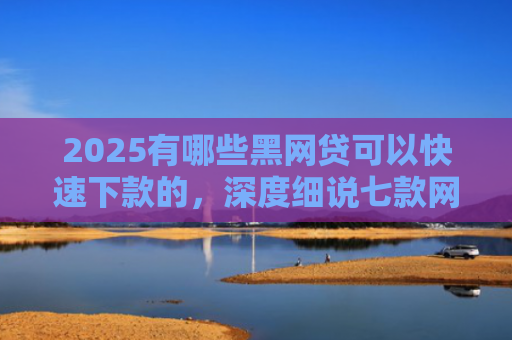 2025有哪些黑网贷可以快速下款的，深度细说七款网贷哪个口子好下款呢