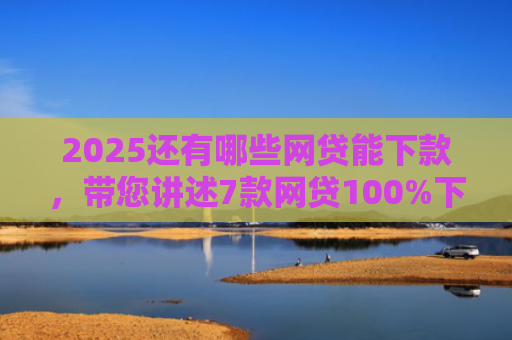 2025还有哪些网贷能下款，带您讲述7款网贷100%下款的口子