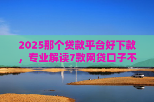 2025那个贷款平台好下款，专业解读7款网贷口子不下款了