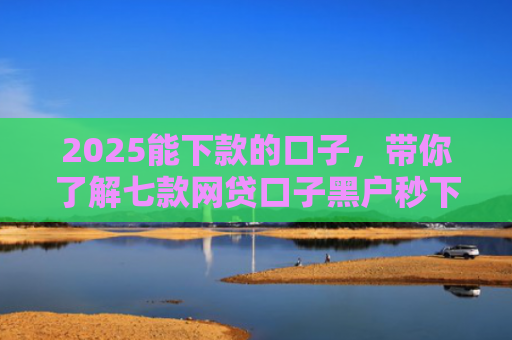 2025能下款的口子，带你了解七款网贷口子黑户秒下款