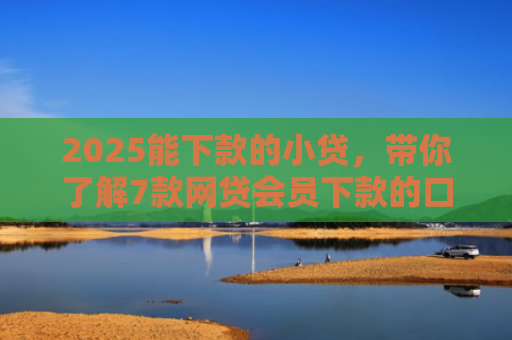 2025能下款的小贷，带你了解7款网贷会员下款的口子