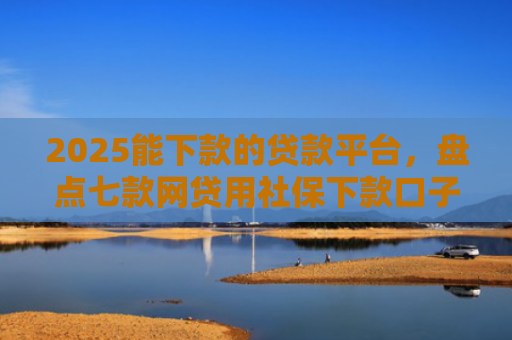 2025能下款的贷款平台，盘点七款网贷用社保下款口子