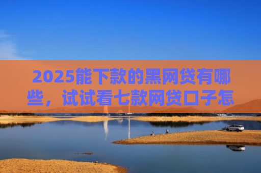 2025能下款的黑网贷有哪些，试试看七款网贷口子怎么好下款
