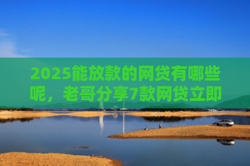 2025能放款的网贷有哪些呢，老哥分享7款网贷立即下款的口子