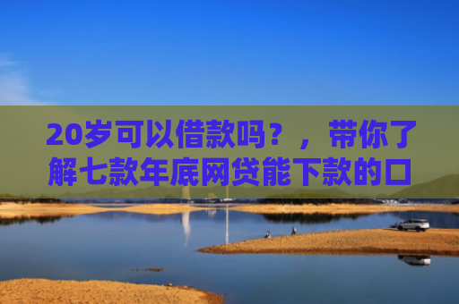 20岁可以借款吗？，带你了解七款年底网贷能下款的口子