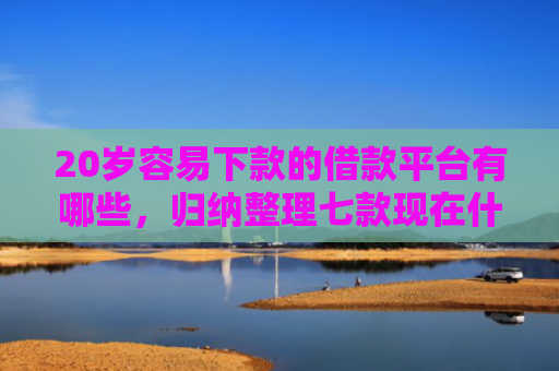 20岁容易下款的借款平台有哪些，归纳整理七款现在什么网贷口子下款快