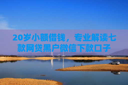 20岁小额借钱，专业解读七款网贷黑户微信下款口子