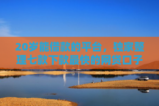 20岁能借款的平台，独家整理七款下款最快的网贷口子黑户