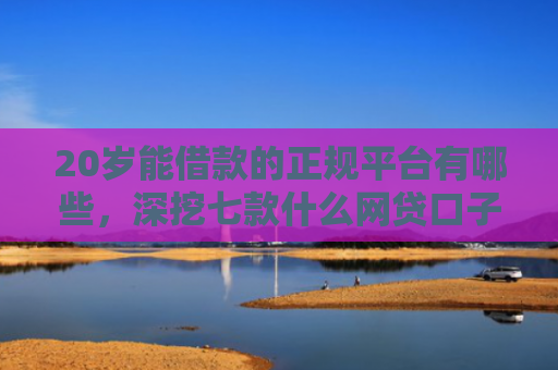 20岁能借款的正规平台有哪些，深挖七款什么网贷口子好下款的