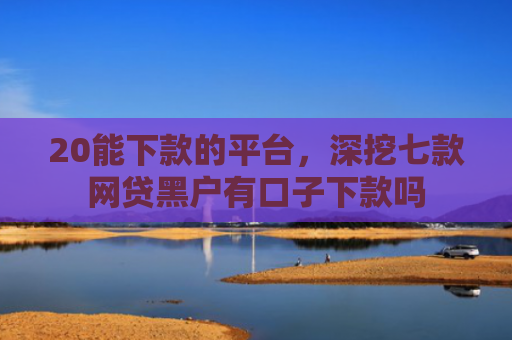 20能下款的平台，深挖七款网贷黑户有口子下款吗