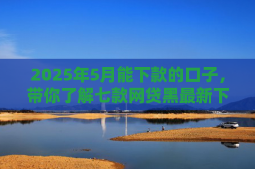 2025年5月能下款的口子，带你了解七款网贷黑最新下款口子