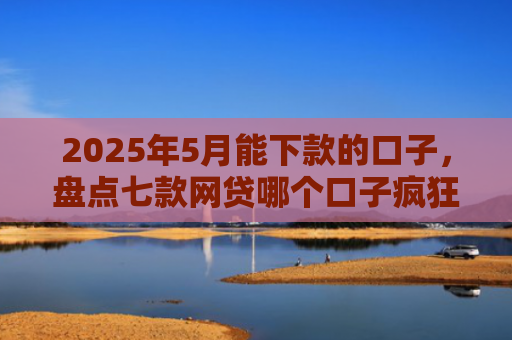 2025年5月能下款的口子，盘点七款网贷哪个口子疯狂下款