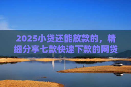 2025小贷还能放款的，精细分享七款快速下款的网贷小口子