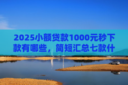 2025小额贷款1000元秒下款有哪些，简短汇总七款什么网贷秒下款新口子