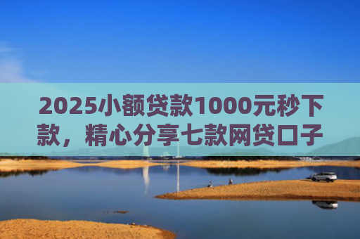 2025小额贷款1000元秒下款，精心分享七款网贷口子怎么填下款高