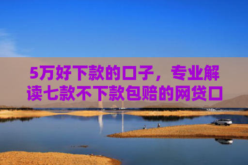 5万好下款的口子，专业解读七款不下款包赔的网贷口子