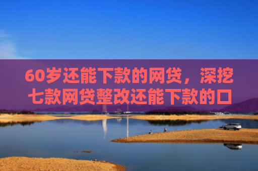 60岁还能下款的网贷，深挖七款网贷整改还能下款的口子