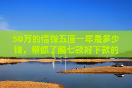 50万的借钱五厘一年是多少钱，带你了解七款好下款的网贷正规口子